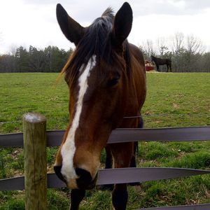 Meet your Posher, Deborah